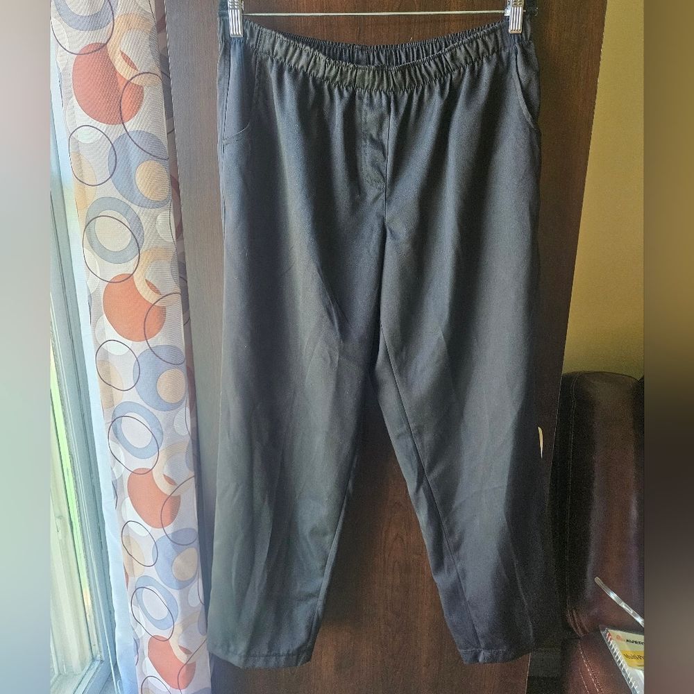 NWT Rebecca Malone Petite Buisness Casual Pants Size PXL